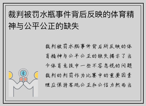 裁判被罚水瓶事件背后反映的体育精神与公平公正的缺失